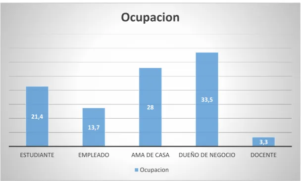Gráfico 3: Ocupación
