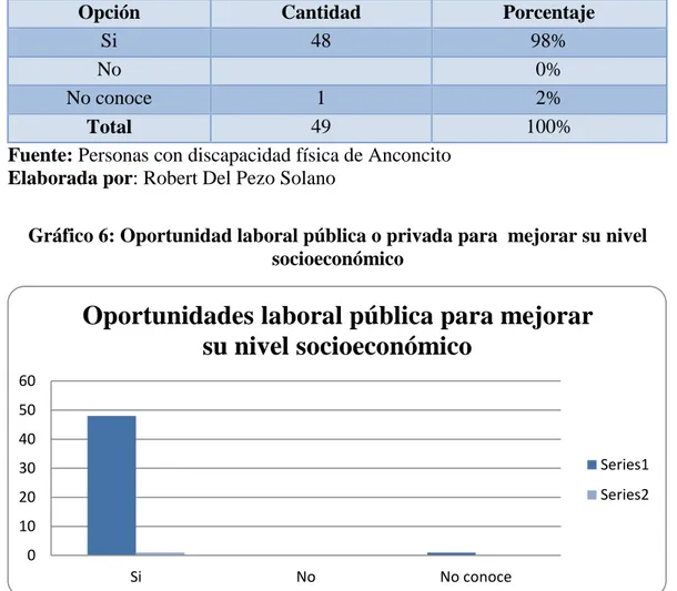Gráfico 6: Oportunidad laboral pública o privada para  mejorar su nivel  socioeconómico 