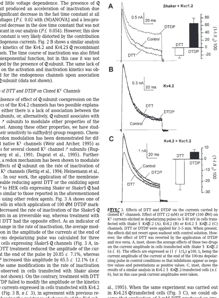 Figure  3. Effects of DTT and DTDP on the currents carried by cloned K 1  channels. Effect of DTT (2 mM) or DTDP (100  mM) on K 1  currents elicited in depolarizing pulses to  140 mV in cells  trans-fected with Shaker  1 Kvb1.2 (A), Kv4.2 (B) or Kv4.2 1 Kv