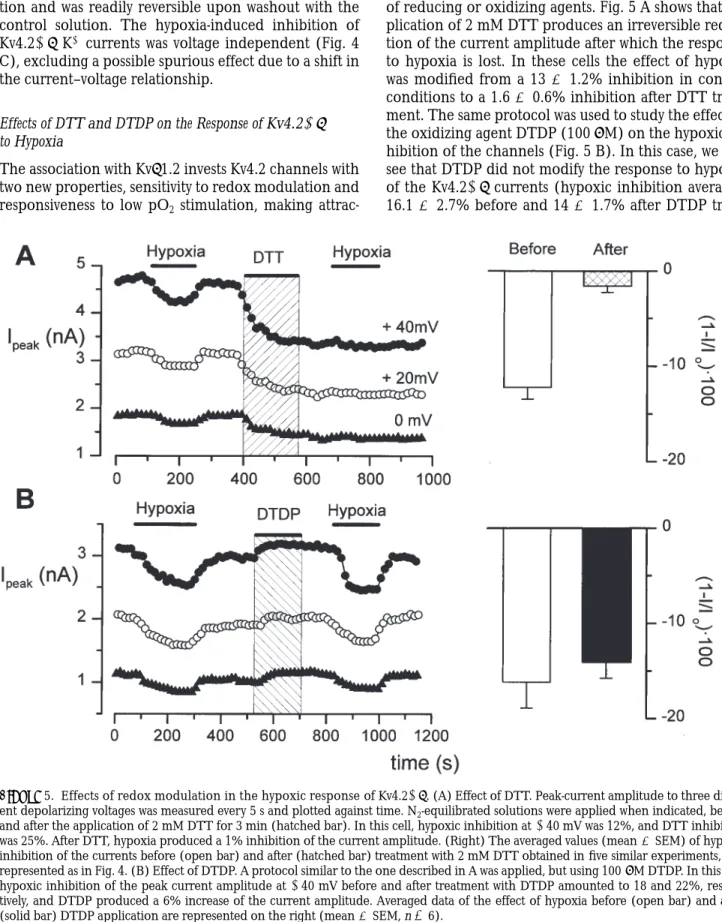 Figure  5. Effects of redox modulation in the hypoxic response of Kv4.21b. (A) Effect of DTT