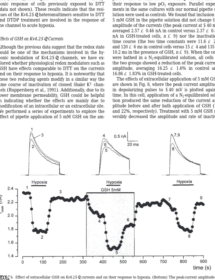 Figure  6. Effect of extracellular GSH on Kv4.21b currents and on their response to hypoxia