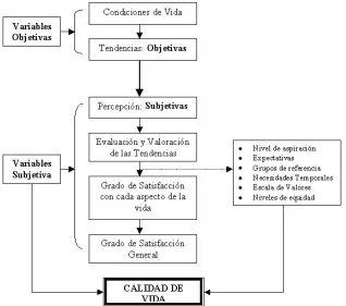Fig. 2.3 Esquema sobre la calidad de Vida  
