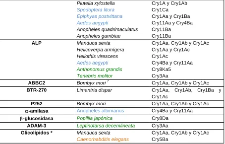 figura 8 (Gazit et al., 1998). 