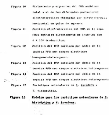 Figura 10