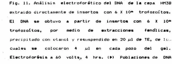 Fig.Fig.  il.11.  análisisAnálisis 