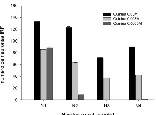 Fig. 11.  Número de neuronas (Media ± EEM) IRF en el NTSr, en respuesta a la aplicación de quinina en diferentes concentraciones en crías de 15 días de edad en el NTSr