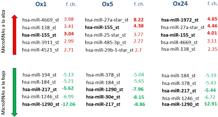 Figura 12. Diagrama con los microRNAs a la alza o a la baja en las condiciones nativas
