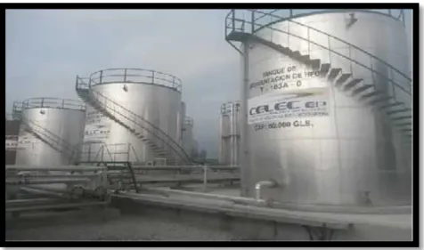 Figura 6: Tanques de Sedimentación de Combustible 