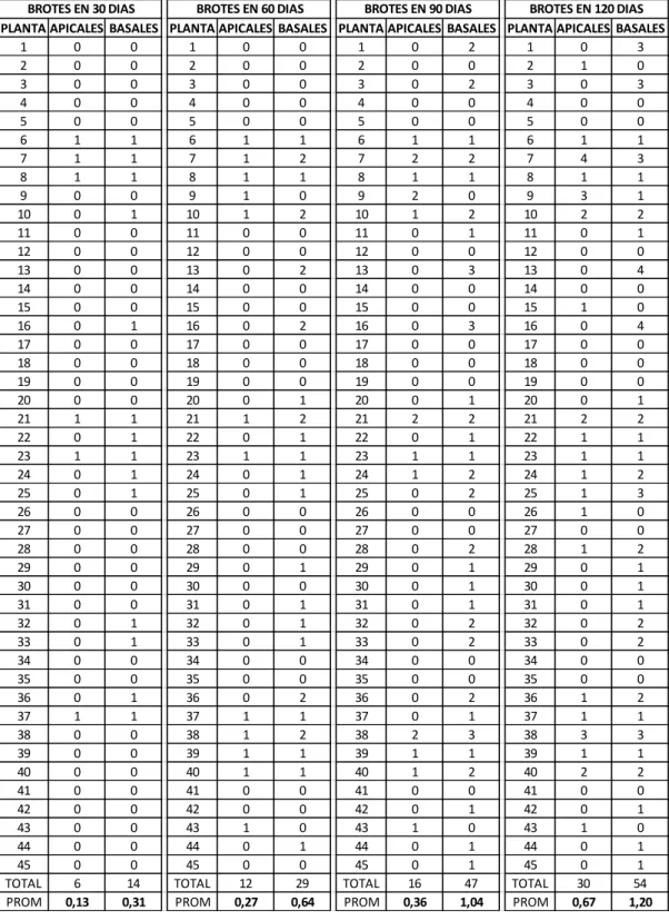 Tabla 1A. Número de brotes en períodos de 30 días. 