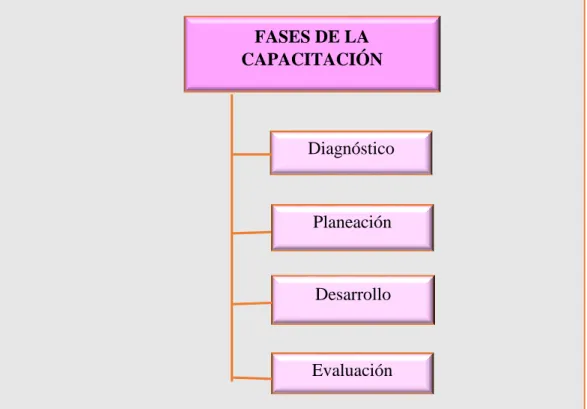 ILUSTRACIÓN N°  4: Fases de la capacitación 