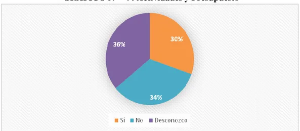 GRÁFICO Nº    9: Actividades y Presupuesto