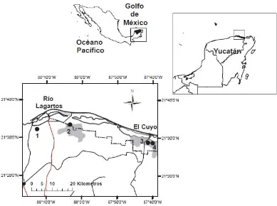 Figura 3. Ubicación de la Reserva de la Biosfera Ría Lagartos y de los sitios seleccionados 