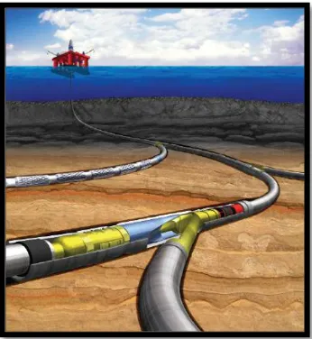 Figura 1. 23. Esquema de un pozo multilateral. (Drilling Contractor)