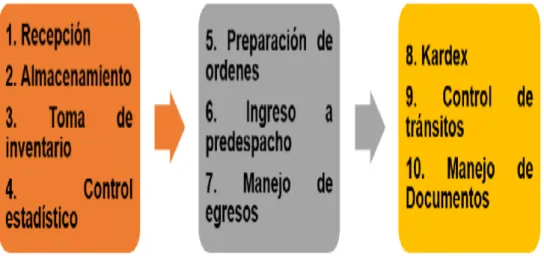 Gráfico No.  4:  