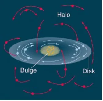 Figura 1.4: Esta imagen muestra las 3 componentes observables de una galaxia espiral(Bulbo, Disco y Halo) y el tipo de din´amica que muestran las estrellas en ellas.