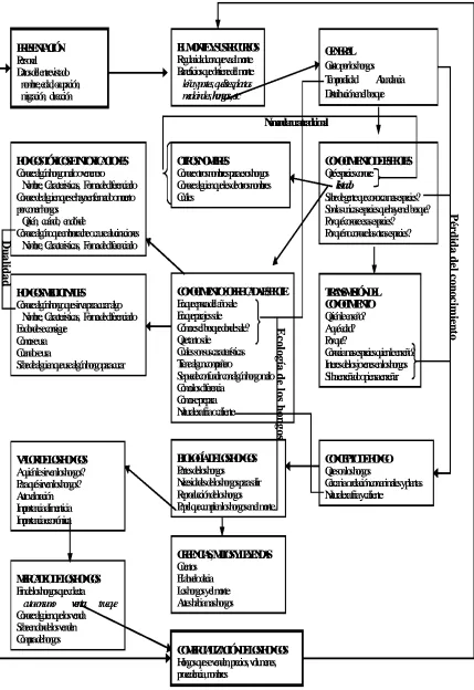 Figura 3. Esquema de la entrevista semi estructurada 