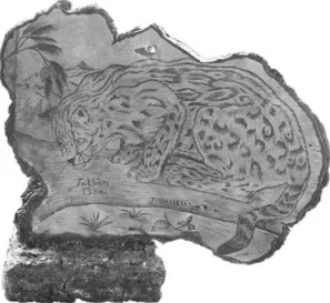 Fig. 2. Handicraft on Ganoderma applanatum, “Tigrillo” author Leopoldo García P. 