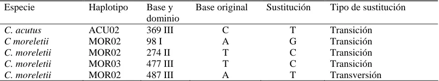 Cuadro 6. Sustituciones de los haplotipos de C. acutus y C. moreletii en México. 