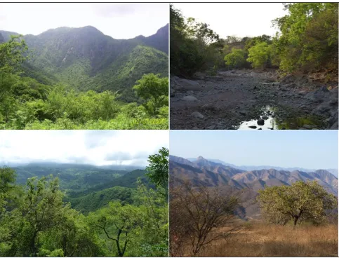 Figura 7. Ejemplos de los contrastes estacionales en el paisaje del área de estudio, entre la estación de lluvias (izquierda), y la estación seca (derecha) 