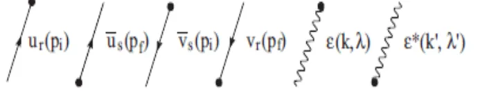 Figura  3.1: Líneas externas para bosones norma y fermiones [11]     