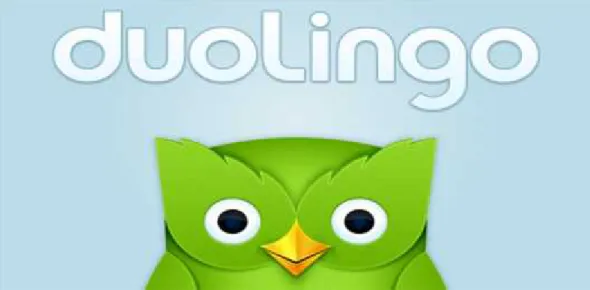 Graphic Nº 11- Duolingo