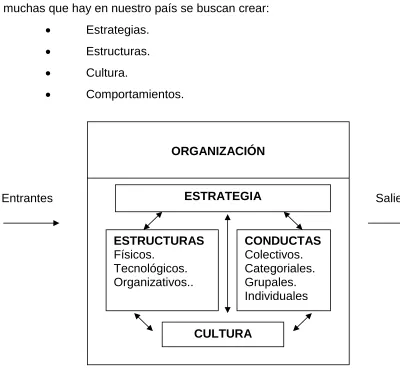 Cuadro 1.3. Propósitos de una organización. 