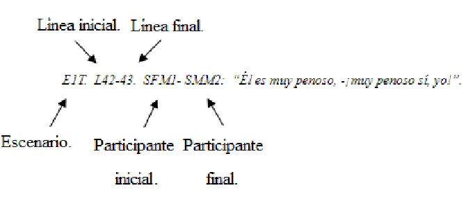 Figura 1.  