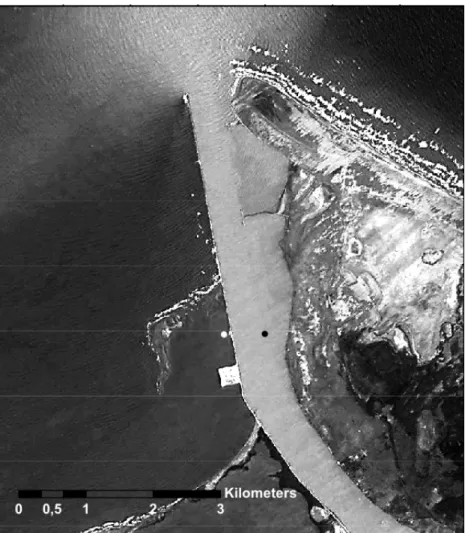 Fig. 1: Magdalena River mouth. Satellite image source: CNES/Astrium 18.03.2016, taken and  modified from Google Earth
