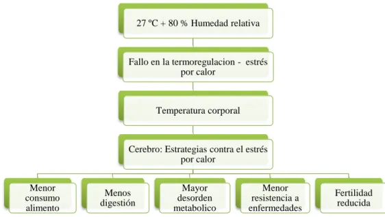 Figura 1. Fisiología de estrés por calor