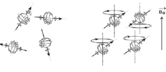 Figura 2.6. Diferencia de orientación de los ejes de giro con campo magnético externo