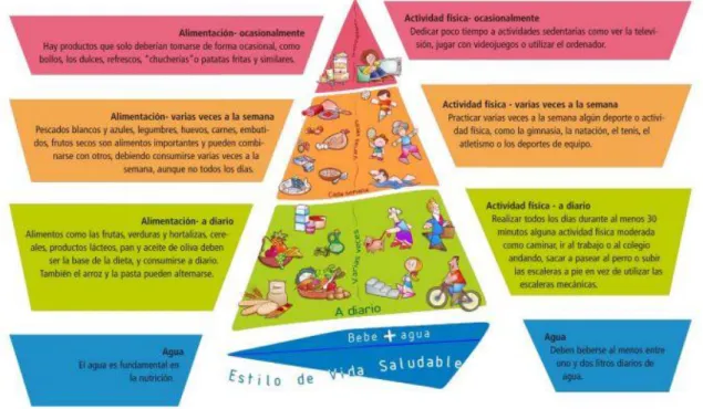 Ilustración 1: pirámide NAOS. 