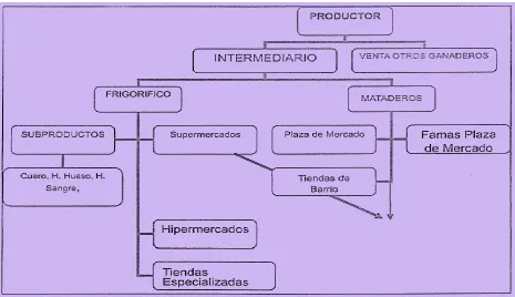 Figura 4. Mapa de procesos, Adaptado de Fedegan, 2015 