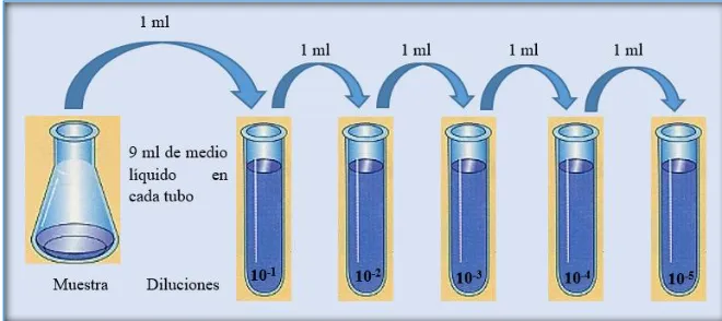 Figura 3. Método de incubación de los tubos de ensayo, técnica del NMP.  Adaptado de Barrero & Martínez, 2018