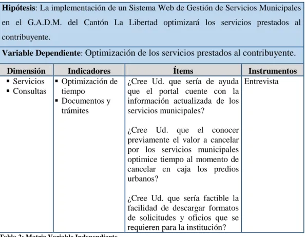 Tabla 2: Matriz Variable Independiente 