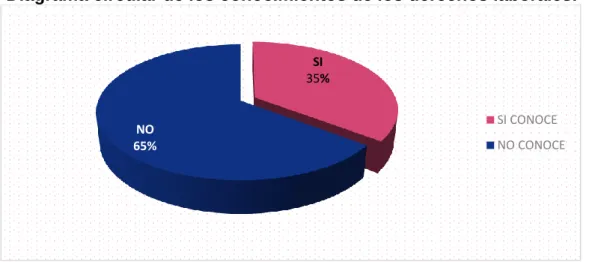 Gráfico N°3 