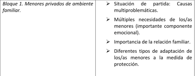Tabla 3. Características y necesidades de los/as menores privados/as de ambiente familiar
