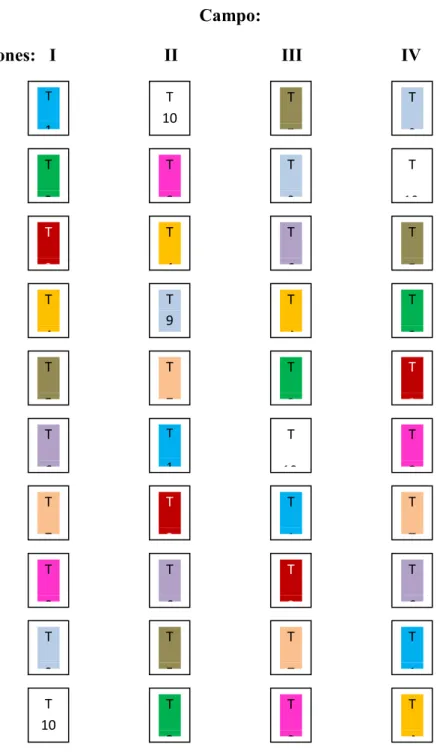 Figura 4: Distribución de los tratamientos en el campo 