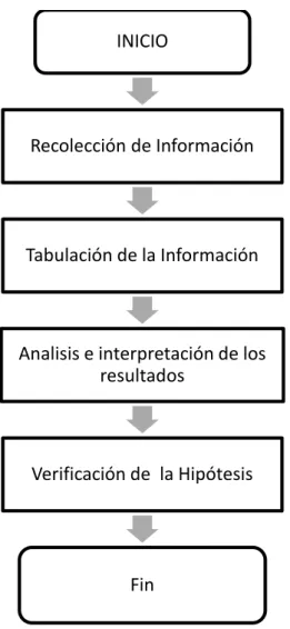 GRÁFICO 1: Proceso de Recolección de Datos 