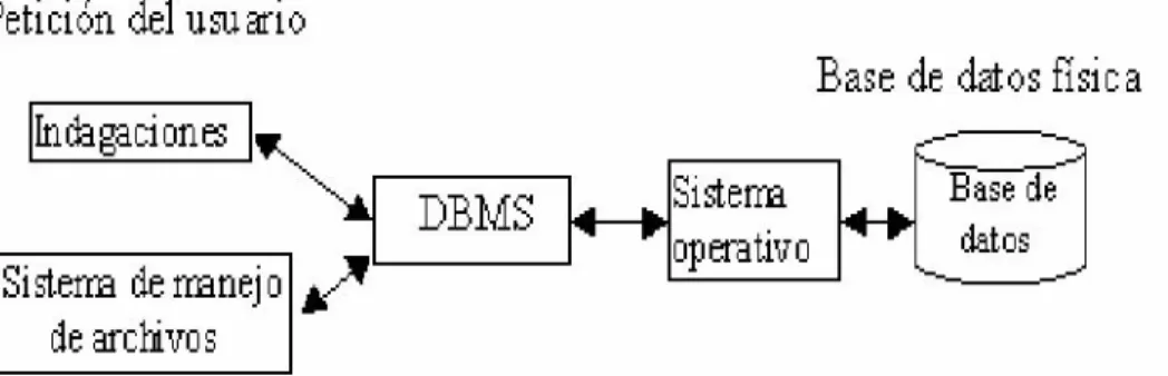 Figura 5. DBMS como interfase entre la base de datos física y las particiones de    usuario   