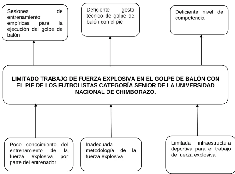 Gráfico Nº 1: Árbol de Problemas 
