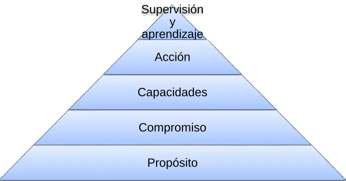 Figura 2. Modelo COCO (Montes et al, 2014, pp. 82) 