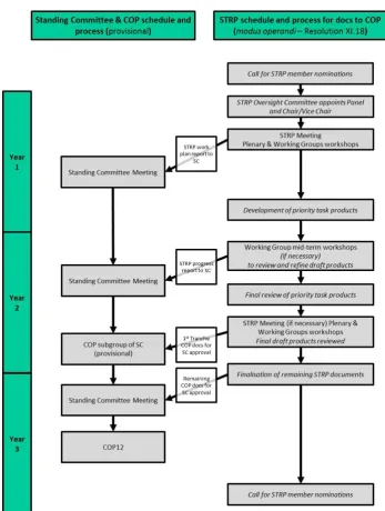 Figure 1. STRP schedule and process for documents related to COP  