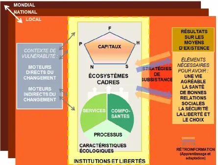 Figure 2. Cadre pour l’évaluation intégrée des liens entre les zones humides et les moyens d’existence (tiré du cadre conceptuel pour les écosystèmes et le bien-être humain de l’Évaluation 