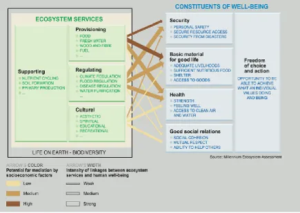Figure 2.3 depicts the strength of linkages between commonly-encountered categories of ecosystem 