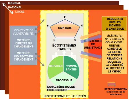 Figure 2. Cadre pour l’évaluation intégrée des liens entre les zones humides et les moyens d’existence (tiré du cadre conceptuel pour les écosystèmes et le bien-être humain de l’Évaluation 