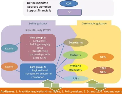 Figure 5: Possible structure for defining and delivering scientific and technical guidance within Ramsar  