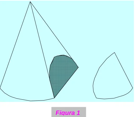 Figura 1 