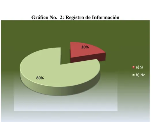Gráfico No.  2: Registro de Información 