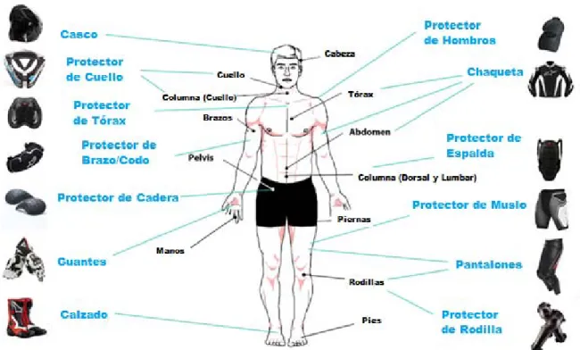 Figura 5.- Resumen de los elementos de protección y de las regiones del cuerpo protegidas por cada uno de ellos