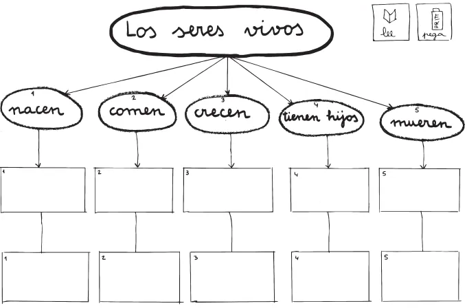 Figura 4